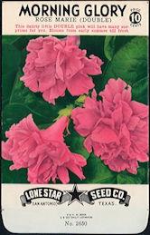 #CE017.1 - Rose Marie Double Morning Glory Lone Star 10¢ Seed Pack - As Low As 50¢ each