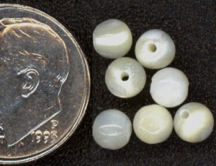 #BEADS0397 - Group of 20 Small Mother of Pearl Beads