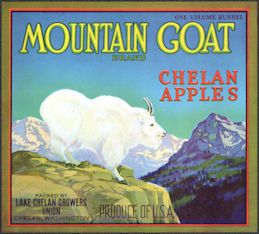 #ZLSH006 - Group of 12 Mountain Goat Apple Crat...