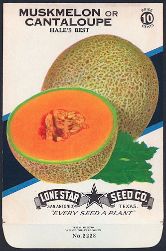 #CE061.1 - Group of 12 Brilliantly Colored Hale's Best Cantaloupe (Muskmelon) Lone Star 10¢ Seed Packs