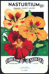 #CE018 - Brilliantly Colored Nasturtium Dwarf Lone Star 10¢ Seed Pack - As Low As 50¢ each