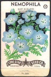 #CE021 - Baby Blue Eyes Insignis Blue Nemophila Lone Star 10¢ Seed Pack - As Low As 25¢ each