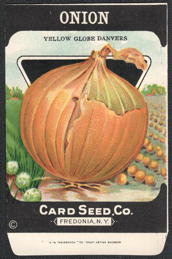 #CE193 - Yellow Globe Danvers Onion Seed Packet - Card Seed Co.