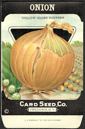#CE167 - Yellow Globe Danvers Onion Card Seed Packet