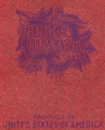 #ZZZ163.1 - Paper Orange Blossom Fruit Wrapper