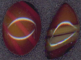 #BEADS0276 - Pair of Two Different Tiger Eye Type Cabochons