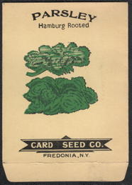#CE197 - Very Early Hamburg Rooted Parsley Seed Packet - Card Seed Co.