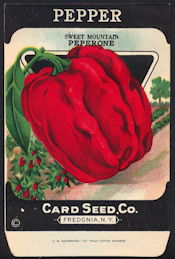 CE125 - Scarce Sweet Mountain Peperone Pepper Card Seed Packet