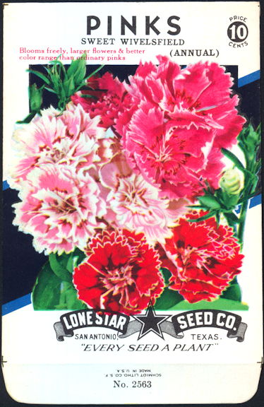 #CE024 - Brilliantly Colored Pinks Sweet Wivelsfield Lone Star 10¢ Seed Pack - As Low As 50¢ each