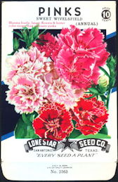 #CE024 - Brilliantly Colored Pinks Sweet Wivelsfield Lone Star 10¢ Seed Pack - As Low As 50¢ each