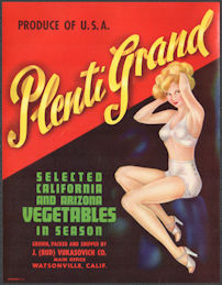 #ZLSH215 - Group of 12 Plenti Grand Pinup Veget...
