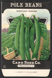 #CE184 - Kentucky Wonder Pole Beans Seed Packet - Card Seed Co.