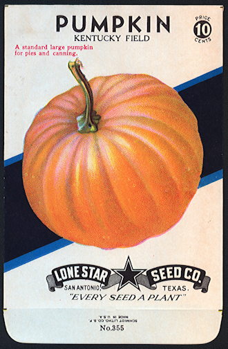 #CE072 Beautiful Pumpkin 10¢ Seed Pack - Nice Fall/Halloween Item - As low as 75¢ each