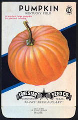 #CE072 Beautiful Pumpkin 10¢ Seed Pack - Nice Fall/Halloween Item - As low as 75¢ each