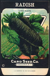 CE128 - Scarce Long Black Radish Card Seed Packet