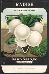 #CE185 - Early White Turnip Radish Seed Packet - Card Seed Co.