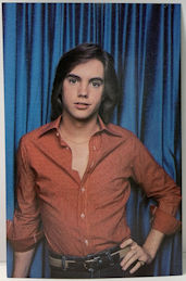 #CH467 - Group of 3 1978 Shaun Cassidy Postcards