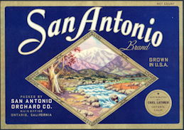 #ZLC143 - San Antonio Brand Valencia Orange Label