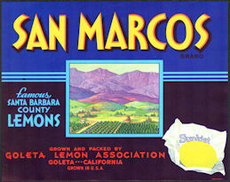#ZLSH011 - Group of 12 San Marcos Sunkist Lemon...