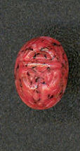 #BEADS0661 - 14mm Coral Matrix Glass Scarab