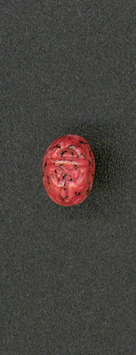 #BEADS0661 - 14mm Coral Matrix Glass Scarab