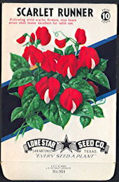 #CE029 - Brilliantly Colored Scarlet Runner Lone Star 10¢ Seed Pack - As Low As 50¢ each
