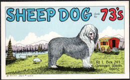 #UPaper222  - Sheep Dog Sends His 73's - CB Card