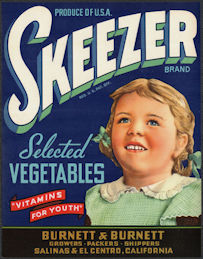 #ZLSH206 - Group of 12 Skeezer Vegetable Crate ...