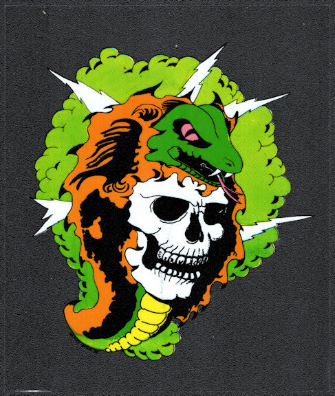 ##MUSICGD2027 - Grateful Dead Car Window Tour Sticker/Decal - Skull with Snake and Lightning Bolts