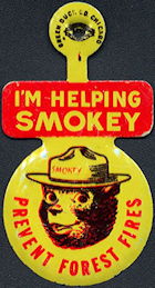 #CH006 - Smokey the Bear Pin
