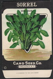 #CE180 - Sour Grass Sorrel Seed Packet - Card Seed Co.