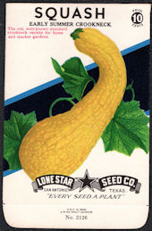 #CE075 - Early Summer Crookneck Squash Lone Star 10¢ Seed Pack - As Low As 50¢ each