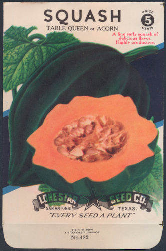 #CE076 - Brilliantly Colored  Stone Litho Lone Star Seed Company Acorn Squash 5¢ Seed Pack - As Low As 50¢ each