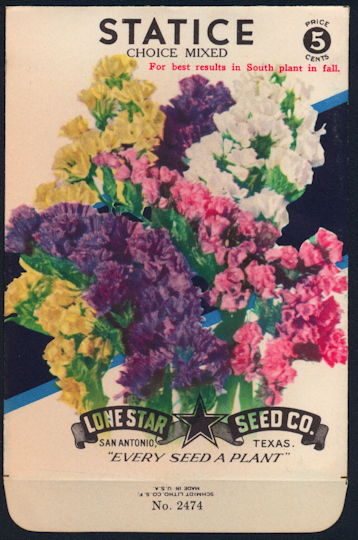 #CE030 - Mixed Statice Lone Star 5¢ Seed Pack - As Low As 50¢ each