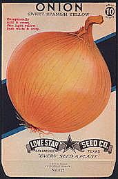 #CE065 - Brilliantly Colored Sweet Spanish Yellow Onion Lone Star 10¢ Seed Pack - As Low As 50¢ each