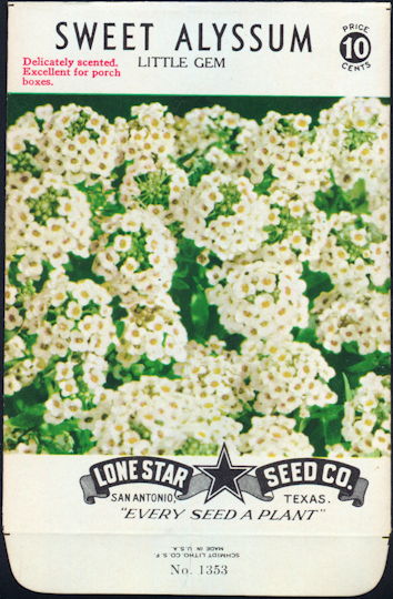 #CE002 - Sweet Alyssum Little Gem Lone Star 10¢ Seed Pack - As Low As 50¢ each