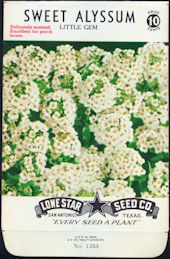 #CE002 - Sweet Alyssum Little Gem Lone Star 10¢ Seed Pack - As Low As 50¢ each