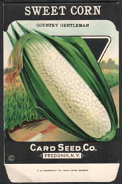 #CE188 - Country Gentleman Sweet Corn Seed Packet - Card Seed Co.