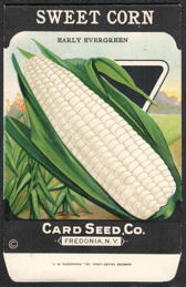 #CE190 - Early Evergreen Sweet Corn Seed Packet - Card Seed Co.