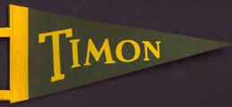 #BHSports082 - Old Felt Pennant from Bishop Timon High School in  Buffalo, NY