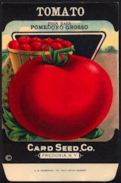 CE168 - Scarce John Baer Pomedoro Grosso Tomato Card Seed Packet