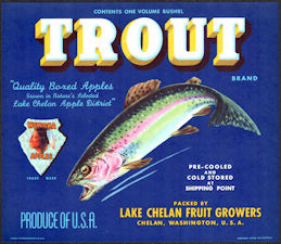 #ZLSH005 - Group of 12 Trout Brand Apple Crate Labels