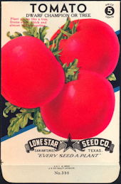 #CE079 - Brightly Colored Dwarf Tree Tomato Lone Star 5¢ Seed Pack - As Low As 50¢ each