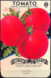 #CE079 - Brightly Colored Dwarf Tree Tomato Lon...