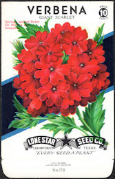 #CE038 - Verbena Giant Scarlet Lone Star 10¢ Seed Pack - As Low As 50¢ each