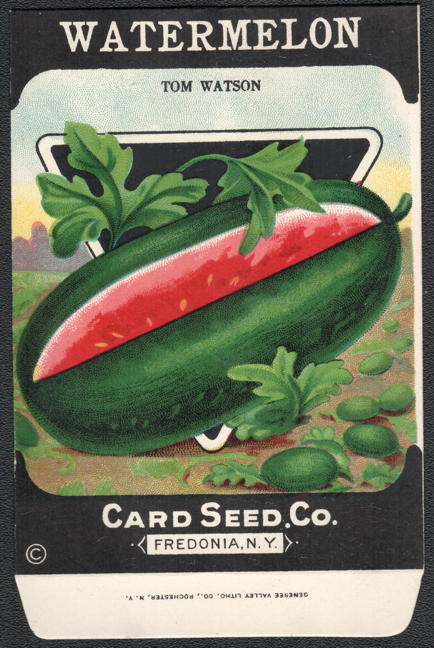 #CE176 - Tom Watson Watermelon Seed Packet - Card Seed Co.