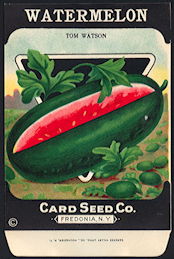 CE144 - Scarce Tom Watson Card Seed Packet