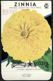 #CE046 - Double Giants of California Yellow Zinnia Lone Star 10¢ Seed Pack - As Low As 50¢ each