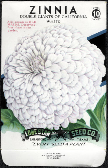 #CE049 - Double Giants of California White Zinnia Lone Star 10¢ Seed Pack - As Low As 50¢ each