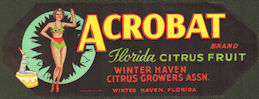 #ZLCA*071 - Acrobat Florida Citrus Crate Label ...